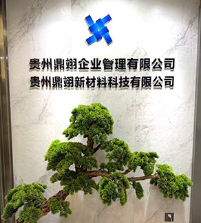 公司介绍